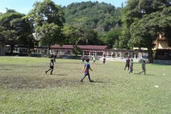 120062748_333923491384714_110646371294289142_o